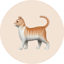 Customer avatar image